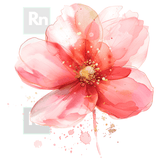 Pacote com 100 imagens Florais para quadros + 25 de Brinde